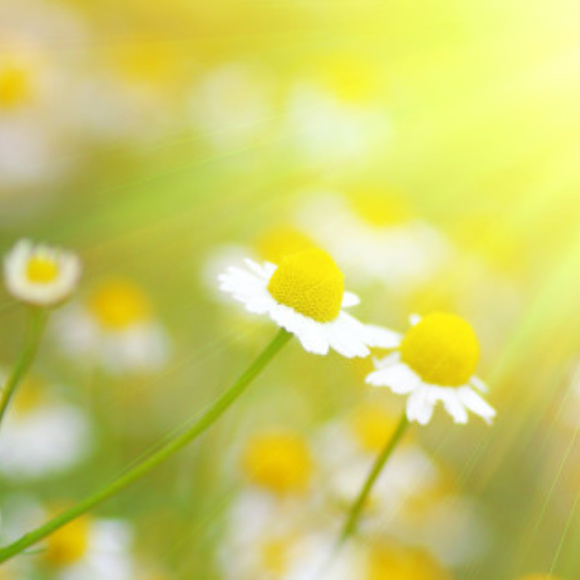 Meet your Posher, Angela - Picture 2 of 6